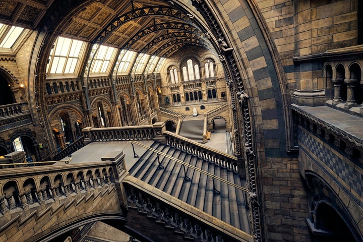 Reacham男士洗護用品，自然科技，引領健康洗護新趨勢